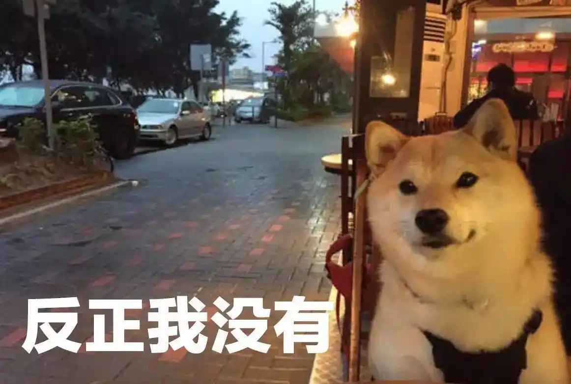 周末逛街 ▼ 单身狗表示受到了成吨的伤害 在家推开窗 ▼ 单身狗哭