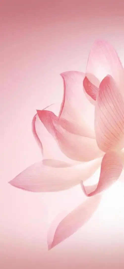 华为p50手机壁纸华为好看壁纸