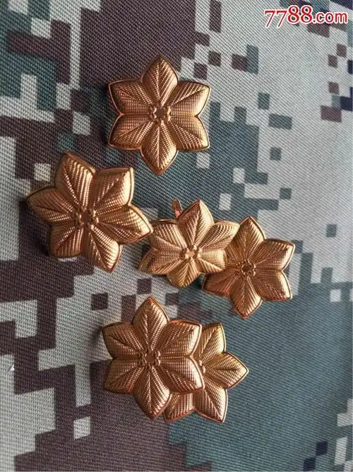 文职肩花25一副