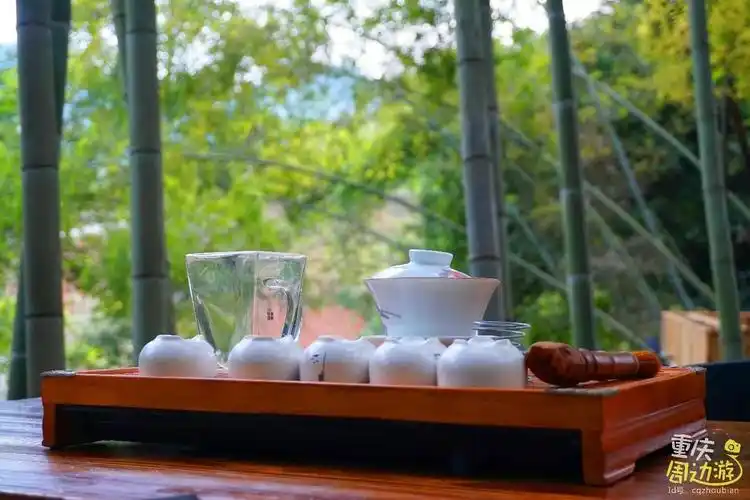 来张暖阳透过竹林的照片,黑米当时早餐可是沐浴着阳光看着满眼翠绿的