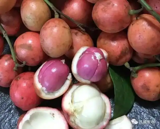 江城三丫果节年年有不同今年特别结