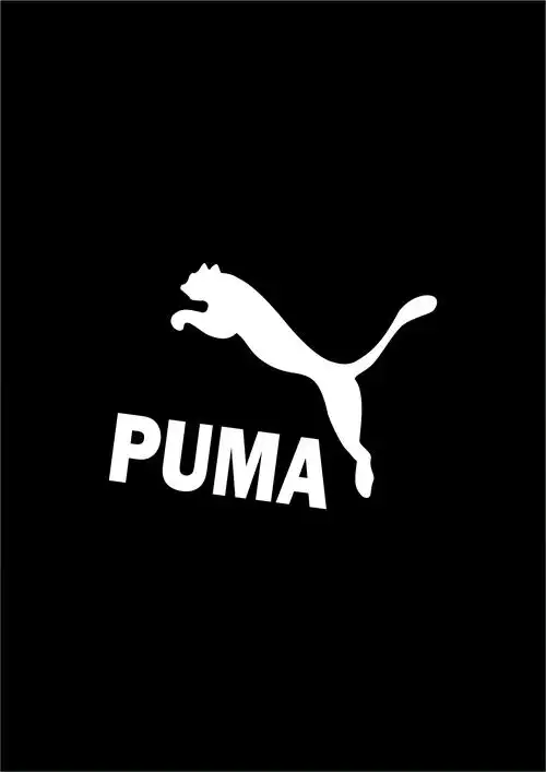 彪马品牌宣传海报设计|平面|海报|mooncatmax - 原创作品 - 站酷