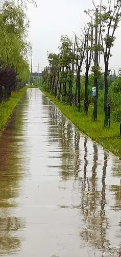 雨天走在乡间的小路上