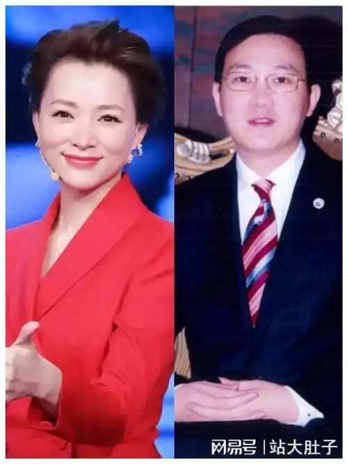 在璀璨的星光背后,董卿的丈夫密春雷,这位曾经的商界传奇,如今却身陷