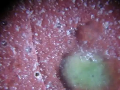 如图片: 宋代钧窑瓷器气泡上图 宋代汝窑瓷器照片如下图 宋代哥釉气泡