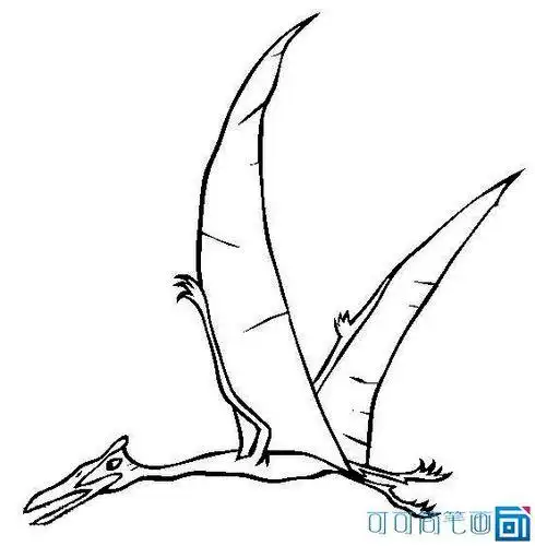 幼儿启蒙画风神翼龙简笔画怎么画简笔画教程儿童简笔画飞龙的简单画法