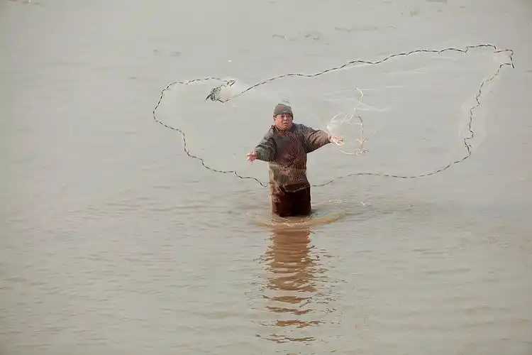 黄河撒网打鱼