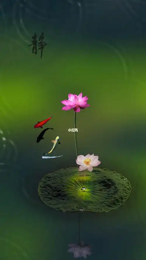 心若定何须追逐心若安何须浮躁心若静何须飘摇修心养性禅意人生静心