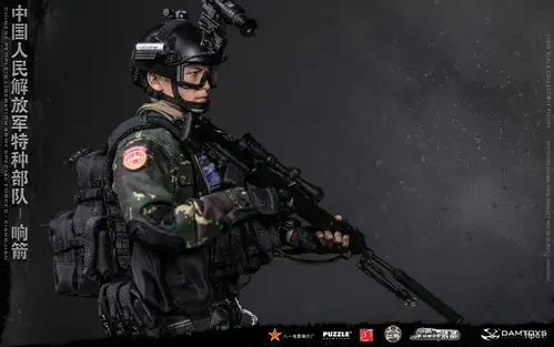 damtoys 78048 1/6 中国人民解放军特种部队 "响箭"