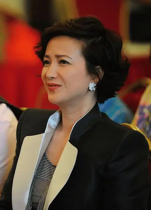 感觉何晴这样的女人真有魅力啥造型都能轻松驾驭颜值还不显老