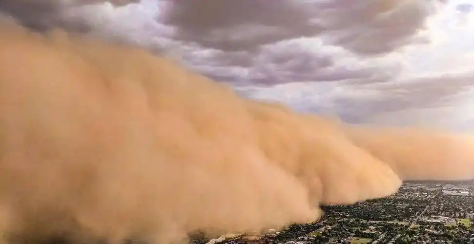 沙尘暴卷土重来我们该咋办?