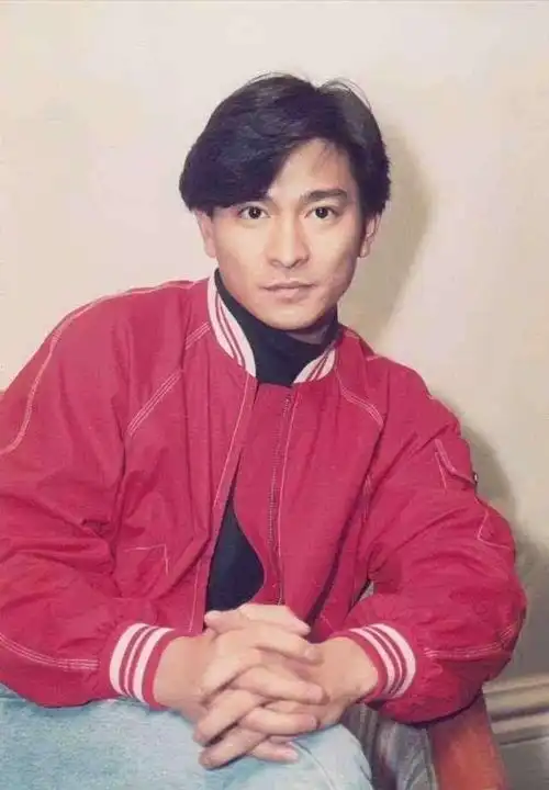 刘德华个人简历(刘德华成名后给父母买房给兄弟姐妹买房买车) - 人生