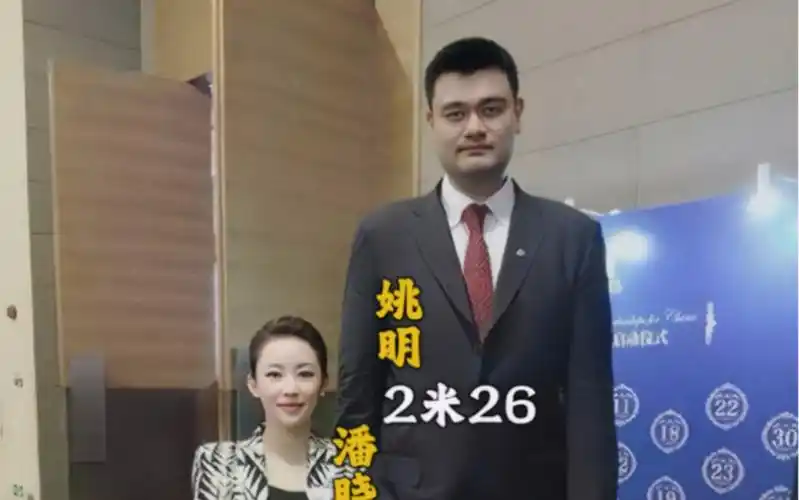 多年前,潘晓婷和姚明在活动上的合影