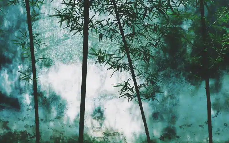竹林,风景秀丽 iphone 壁纸