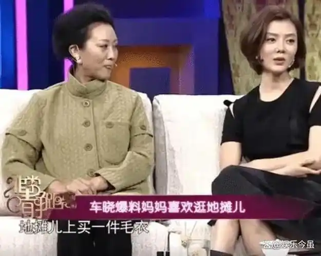 王丽云和车晓:母女俩离异后至今单身,她们在追求什么