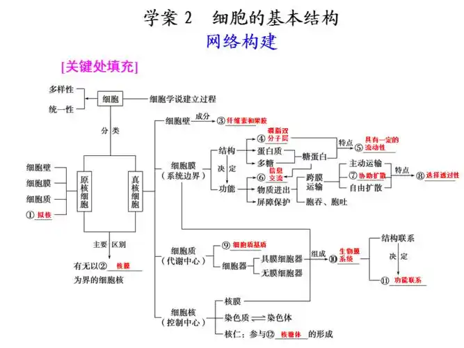 2012届高三生物二轮复习课件专题一学案2细胞的基本结构