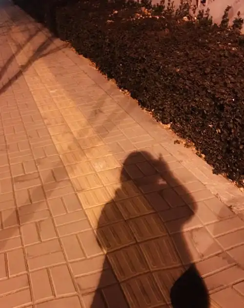 一个认知只为更加了解自己