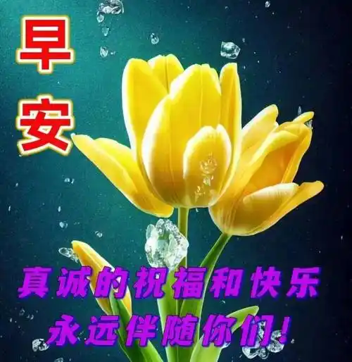 非常好看的7张早上好漂亮祝福图片带字问候语录,暖心早安简短吉祥话