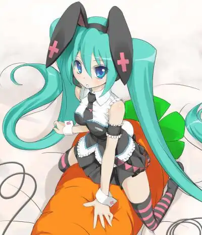 初音 兔