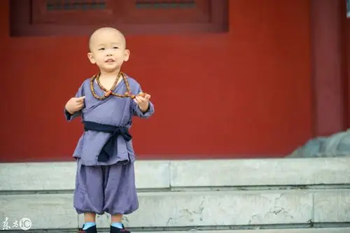 太萌了汶上宝相寺超萌小和尚爆红网红