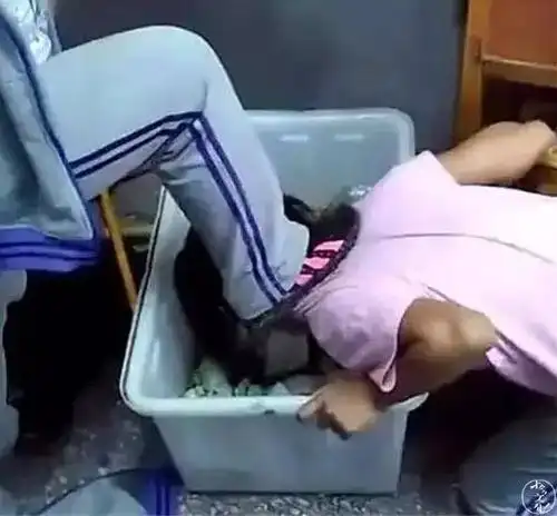 6初二女生围殴同学:因未成年被罚"拘留不执行"