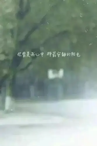 你曾是我心中最安静的阳光 文字壁纸#锁屏#手机壁纸#文字句子