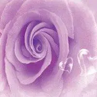 2019紫色简约花微信头像点击鼠标右键下载