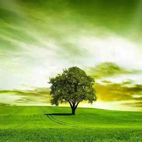 蓝天白云微信头像树木图片 微信头像图片大全 -【爱个性】