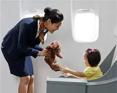 1.2米以下的小孩坐飞机需要买票吗