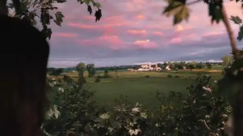 怦然心动为你种下一棵树