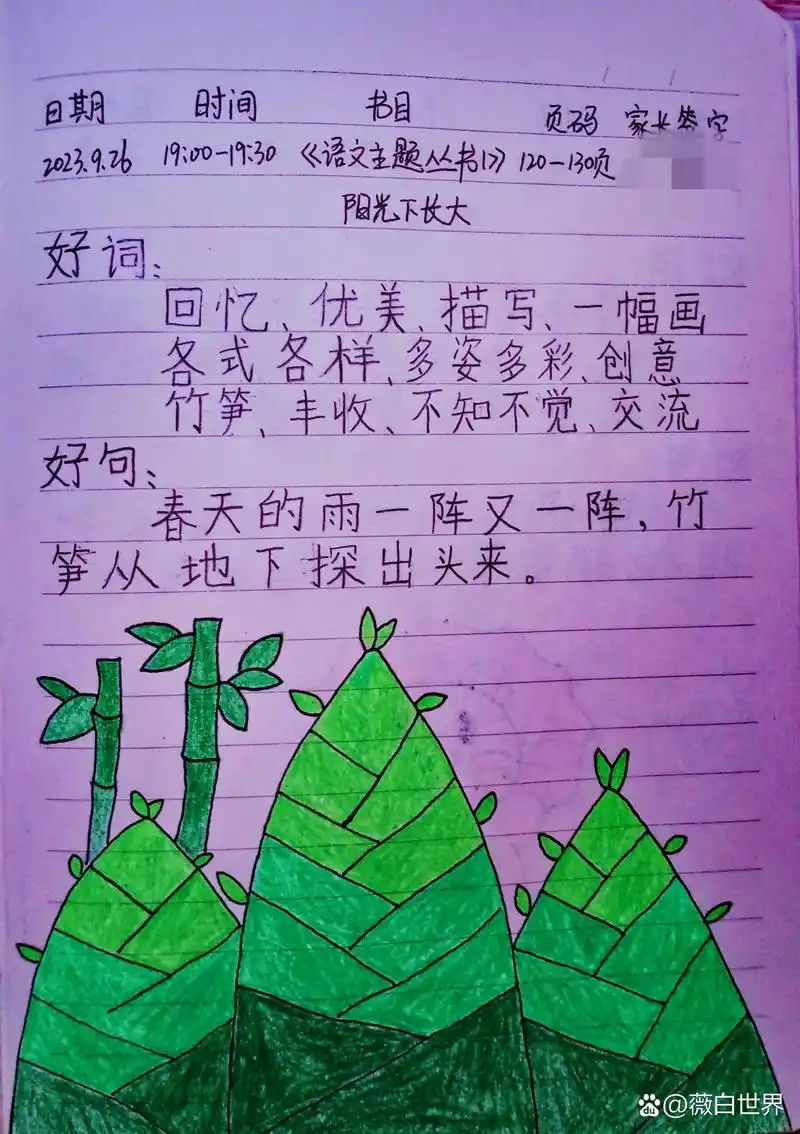 一年级读书笔记,图文并茂9694