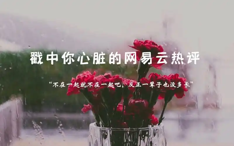 你走了也好不然总担心你要走网易云热评催泪文案短句