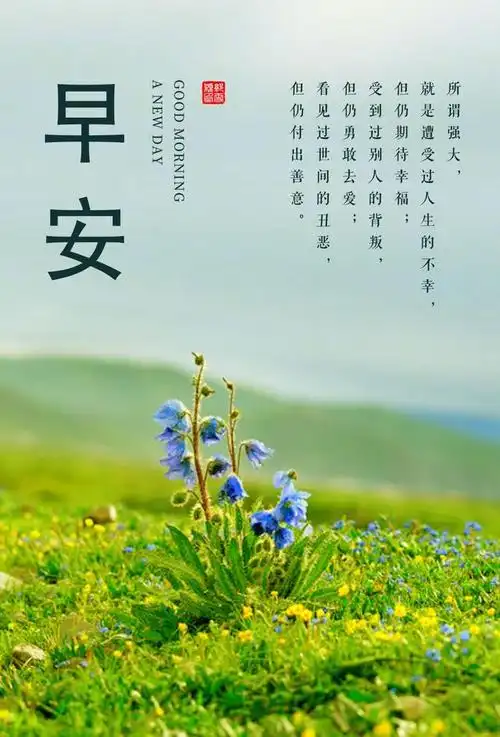 早安语激励人心的好句子,简单又美好,满满的好心情!