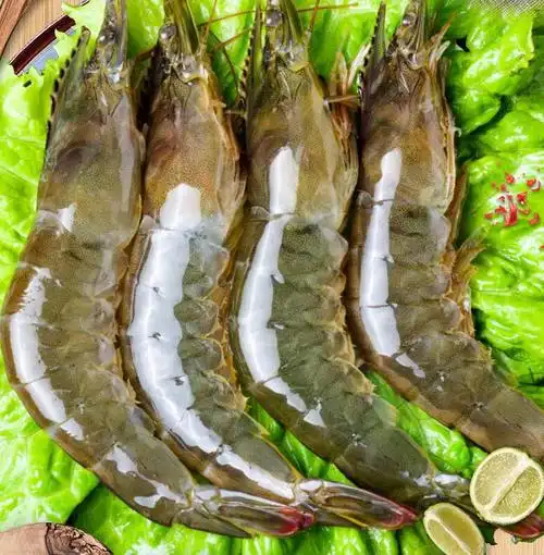 包邮 4斤装青岛大虾鲜活新鲜活冻虾大青虾白虾基围虾