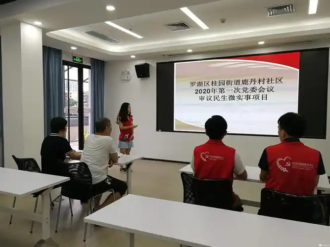 鹿丹村社区第一次社区"党委"会会议审议民生微实事项目