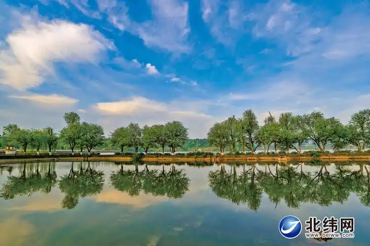 湖光山色皆美景水韵茶乡如画卷走进名山区清漪湖百丈湖月亮湖