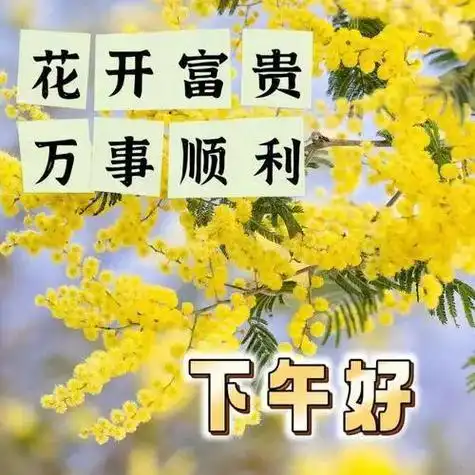 下午好图片大全,下午好问候祝福语,事事顺利人开心