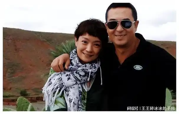 老狼|刘奕君|张嘉译|王海燕|实力派演员_网易订阅