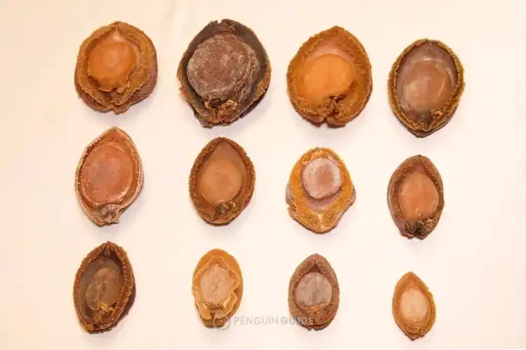 因为涉及的制作工艺复杂,它不像鲜鲍那么强调品种,而是主要以产地和干