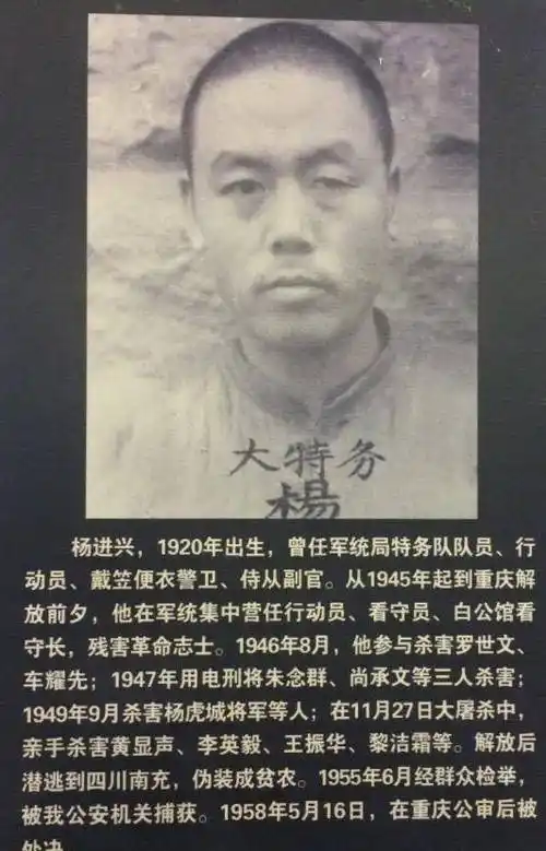 参与杀害杨虎城将军的刽子手居然能得享高龄_儿子_小萝卜头_老蒋