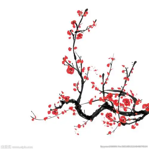 梅花素材图片