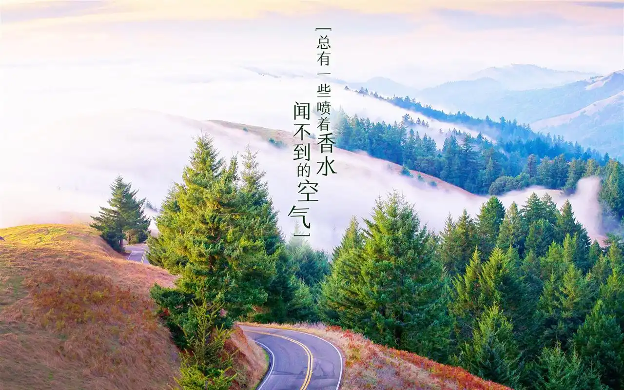 精美励志文字创意图片高清桌面壁纸