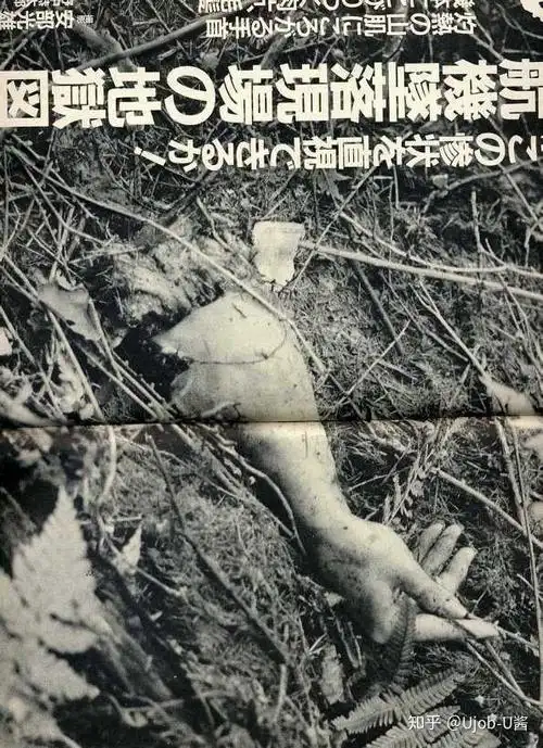 35年前坠毁日航航班jl123,突现在羽田机场上空!仅仅7天后就是遇难日.