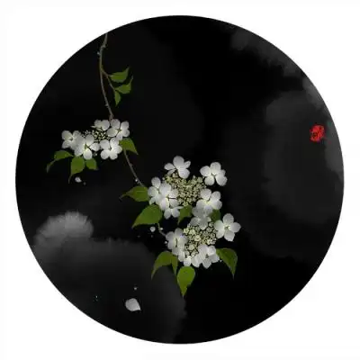 微信头像中年女适合中年妇女的微信头像