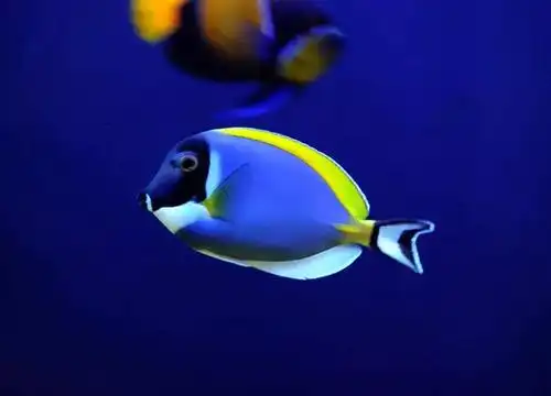 要火离泉州1小时车程竟把整个大海搬到你面前