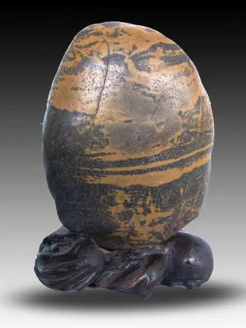 请欣赏岷江奇石(四)