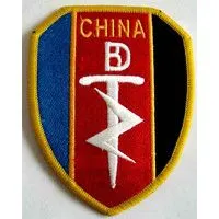 展开全部 特种部队闪电利剑臂章