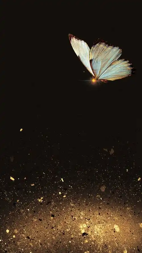 夜读蝴蝶的种子不可动摇的信念