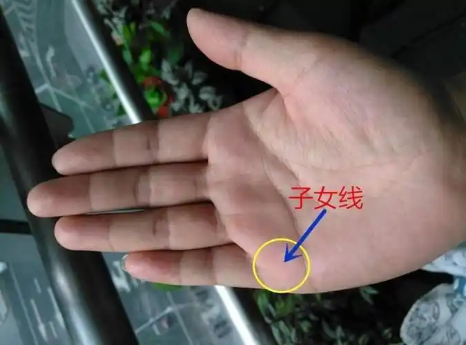 子女线细节图解帮你了解自己人为什么要了解自己