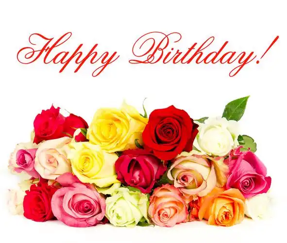 色彩鲜艳的玫瑰美丽鲜花花束生日快乐色彩鲜艳的玫瑰美丽鲜花花束卡